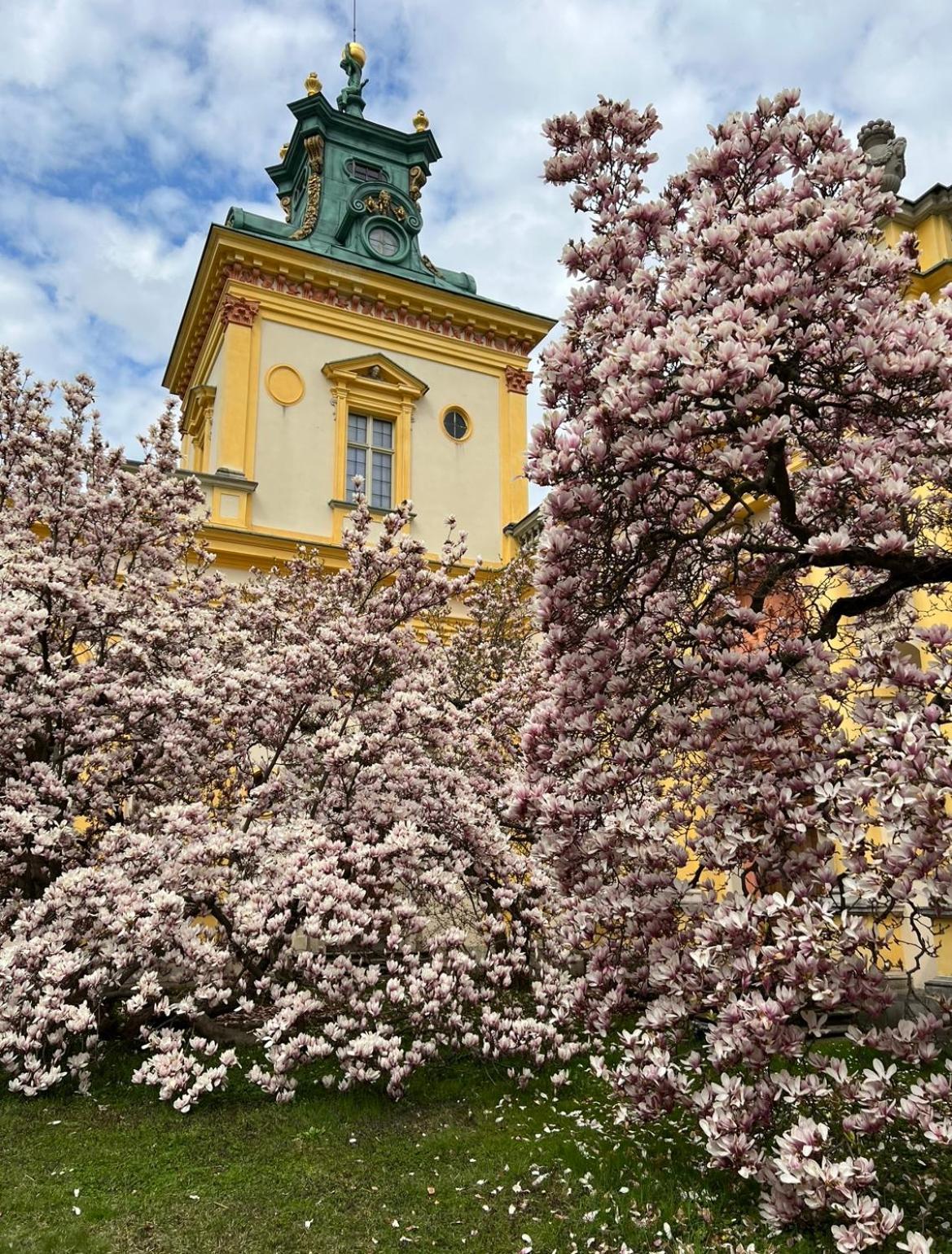 Centrum Konferencyjno-Apartamentowe Mrowka Varšava Exteriér fotografie